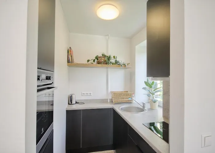 Modern And Cozy Flat Druskininkai